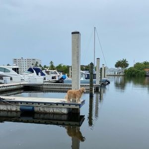 Meet your Posher, Carly